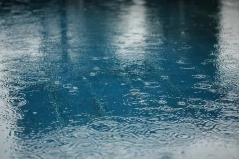 BLU04392.JPG